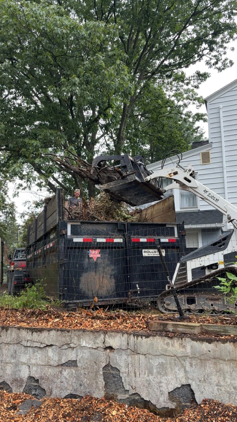 Loader bucket carrying branches into a container